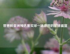 世界杯亚洲预选赛买球一场激烈的足球盛宴
