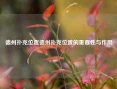 德州扑克位置德州扑克位置的重要性与作用