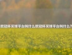 欧冠杯买球平台叫什么欧冠杯买球平台叫什么？