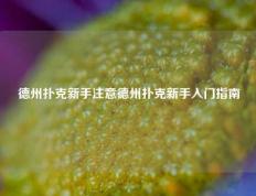 德州扑克新手注意德州扑克新手入门指南