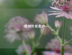 德州扑克老卢---