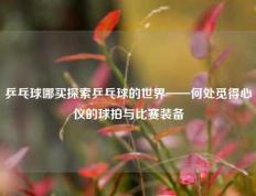 乒乓球哪买探索乒乓球的世界——何处觅得心仪的球拍与比赛装备