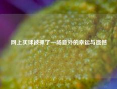 网上买球被抓了一场意外的幸运与遗憾