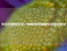 手拉手德州扑克一种独特的策略与友谊的象征