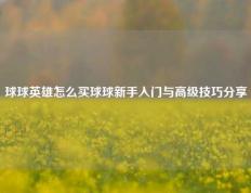 球球英雄怎么买球球新手入门与高级技巧分享