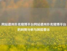 网站德州扑克赌博平台网站德州扑克赌博平台的利弊分析与风险警示