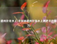 德州扑克水上2手探秘德州扑克水上两把手的魅力
