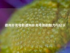 德州扑克电影德州扑克电影的魅力与启示