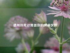 德州扑克计算器你的牌桌伙伴