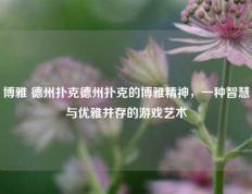 博雅 德州扑克德州扑克的博雅精神，一种智慧与优雅并存的游戏艺术