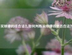 买球赚的钱合法么如何判断买球赚钱是否合法？