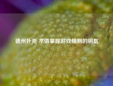 德州扑克 术语掌握游戏规则的钥匙