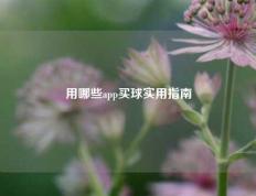 用哪些app买球实用指南