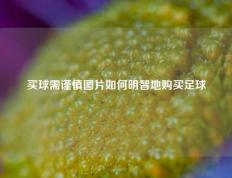 买球需谨慎图片如何明智地购买足球
