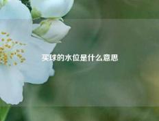 买球的水位是什么意思