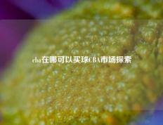 cba在哪可以买球CBA市场探索