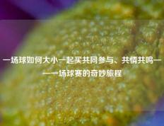 一场球如何大小一起买共同参与、共情共鸣——一场球赛的奇妙旅程