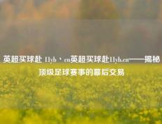 英超买球赴 11yb丶cn英超买球赴11yb.cn——揭秘顶级足球赛事的幕后交易