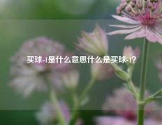 买球-1是什么意思什么是买球-1？