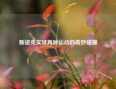 斯诺克买球两种运动的奇妙碰撞