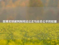 亚博买球被判刑司法公正与社会公平的较量