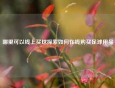 哪里可以线上买球探索如何在线购买足球用品