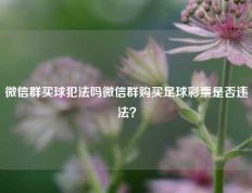 微信群买球犯法吗微信群购买足球彩票是否违法？
