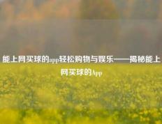 能上网买球的app轻松购物与娱乐——揭秘能上网买球的App