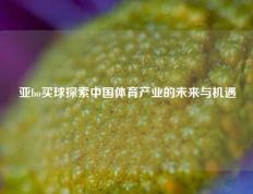 亚bo买球探索中国体育产业的未来与机遇