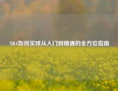 NBA如何买球从入门到精通的全方位指南