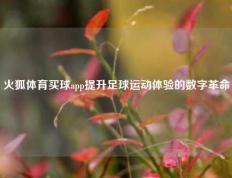 火狐体育买球app提升足球运动体验的数字革命