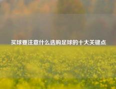 买球要注意什么选购足球的十大关键点