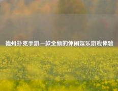 德州扑克手游一款全新的休闲娱乐游戏体验