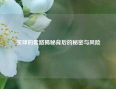 买球的套路揭秘背后的秘密与风险
