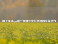 网上买球app哪个好用专业与便捷的完美结合