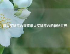 最火买球平台探索最火买球平台的神秘世界