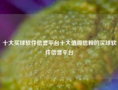 十大买球软件信誉平台十大值得信赖的买球软件信誉平台