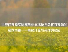 世界杯开盘买球聚焦焦点揭秘世界杯开赛前的赌球内幕——揭秘开盘与买球的秘密