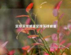 足球买球破蛋足球买球破蛋