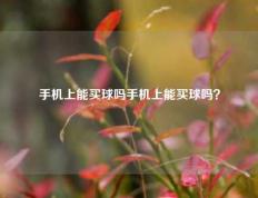 手机上能买球吗手机上能买球吗？