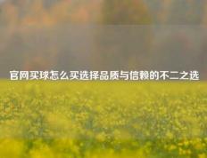 官网买球怎么买选择品质与信赖的不二之选