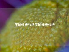 买球经典分析买球经典分析