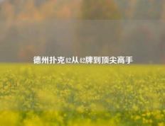 德州扑克42从42牌到顶尖高手