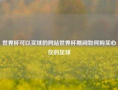 世界杯可以买球的网站世界杯期间如何购买心仪的足球