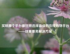 买球哪个平台最好用选择最佳的在线购物平台——球赛票务解决方案