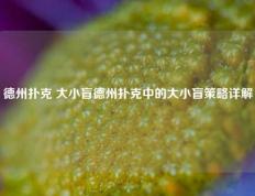 德州扑克 大小盲德州扑克中的大小盲策略详解