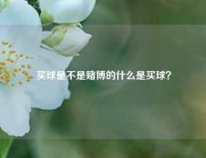 买球是不是赌博的什么是买球？