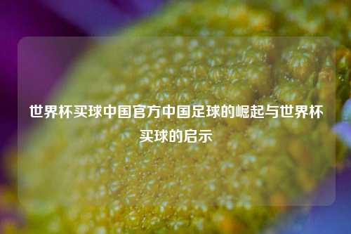 世界杯买球中国官方中国足球的崛起与世界杯买球的启示