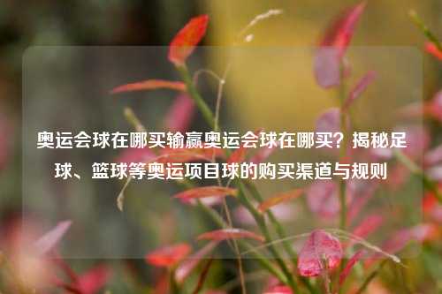奥运会球在哪买输赢奥运会球在哪买？揭秘足球、篮球等奥运项目球的购买渠道与规则