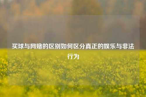 买球与网赌的区别如何区分真正的娱乐与非法行为